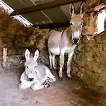 De La Ferme Aux Anesses, Mobil Sofia2 * Bressuire