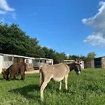 De La Ferme Aux Anesses, Mobil Sofia2 * Bressuire