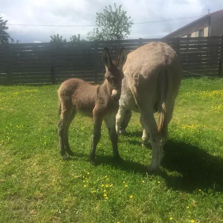 キャンプ場 De La Ferme Aux Anesses, Mobil Sofia2 *