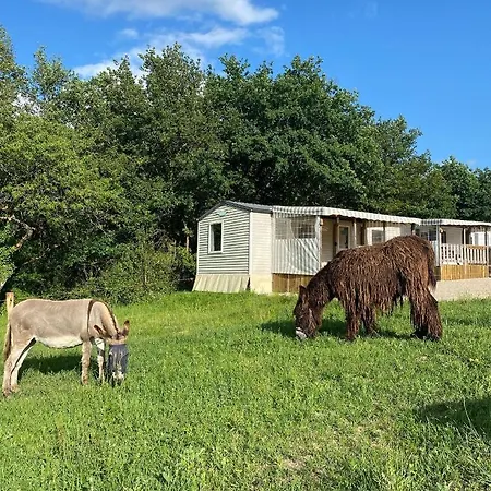 キャンプ場 De La Ferme Aux Anesses, Mobil Sofia2 ブレシュイール