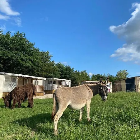 De La Ferme Aux Anesses, Mobil Sofia2 * ブレシュイール